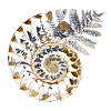 Fibonacci spiral