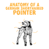 German Shorthair GSP Dog