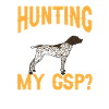 Deutsch Kurzhaar GSP Hund