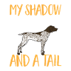 German Shorthair GSP Dog