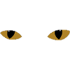 Mysterious cat eyes - gold