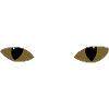 Mysterious cat eyes - bronze