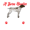 German Shorthair GSP Dog