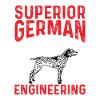 Deutsch Kurzhaar GSP Hund