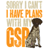 German Shorthair GSP Dog