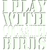Je joue avec Cockatiel