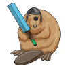 Beaver Cricket Cricket Bat