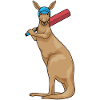 Kangaroo Cricket Cricket Bat