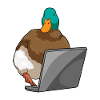 Duck Laptop