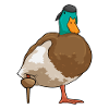 Ente Pirat Holzbein