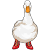 Chaussures Duck High Selling
