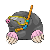 Mole Diver Snorkel