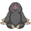 Mole Yoga Fitness Meditation
