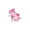 Axolotl Axolotl Tiergeschenk