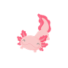 Axolotl Axolotl Tiergeschenk
