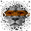 Leo - galata yellow red