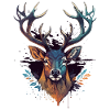 Hirsch