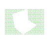 Programmer Computer Scientist