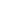 Programmer Computer Scientist
