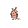 Armadillo Gift