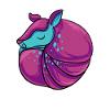Armadillo Gift