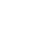 Programmer Computer Scientist