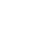 Programmer Computer Scientist