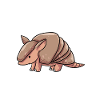 Armadillos Armidillo