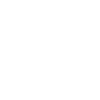 Programmer Computer Scientist
