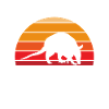 Armadillo Gift