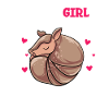 Armadillo Gift