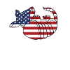 Armadillos American flag