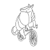Armadillo Cycling Bike