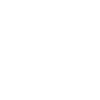 Programmer Computer Scientist