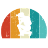 I can't take pictures