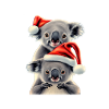 Merry Christmas Koala