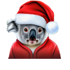 Merry Christmas Koala