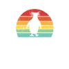 Macaroni Penguin