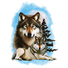 Wolf's Moon