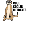 Cool Meerkat Funny Saying Gift