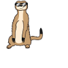 Cool Meerkat Funny Saying Gift