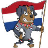 Dutch Fan Dog