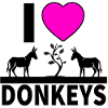 Donkey