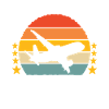 Pilot Flugzeug