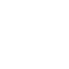 Pilot Airplane