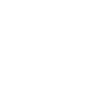 Pilot Airplane