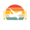 Pilot Flugzeug