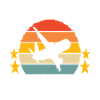 Pilot Flugzeug