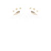 Aircraft Mechanic Aircraft Maintenance