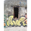 bunker bear